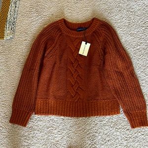 Nwt beautiful burnt orange sweater